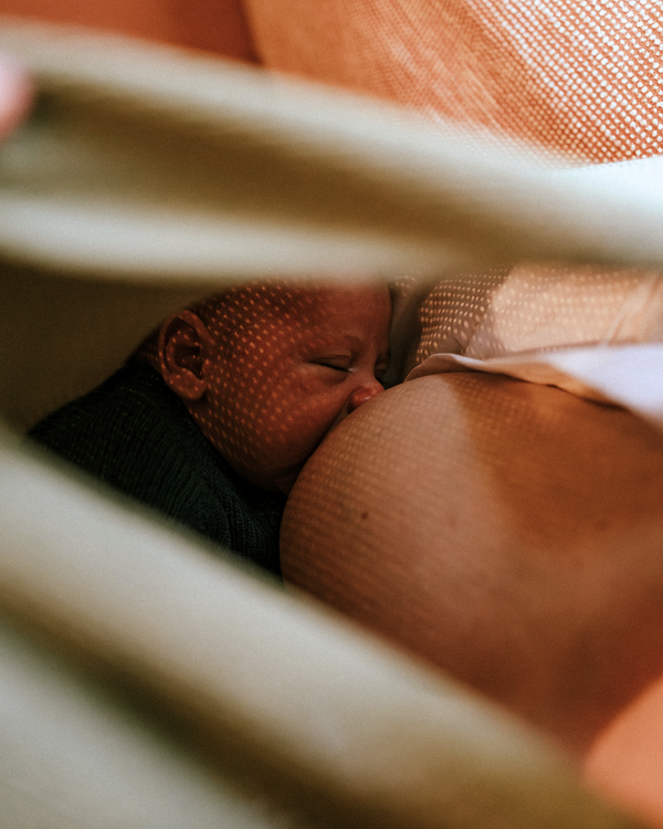 Momcho In Shade Flora & Branded Storage Bag Bundle